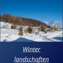 Winter landschaften